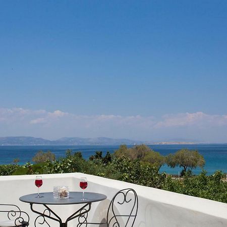 Aneli Luxury Villas-Villa Aegina Zewnętrze zdjęcie