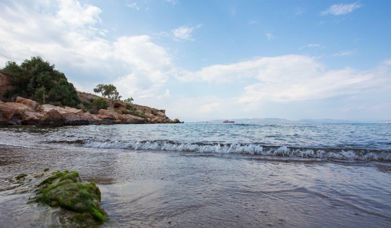 Aneli Luxury Villas-Villa Aegina Zewnętrze zdjęcie