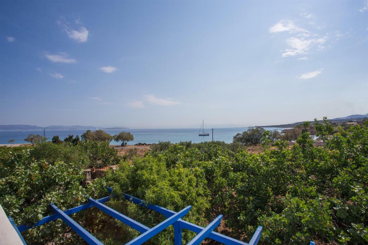 Aneli Luxury Villas-Villa Aegina Zewnętrze zdjęcie